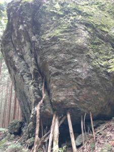 takekawadake 063