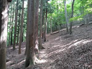 takigoyama 024