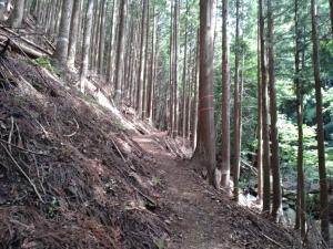 takigoyama 032