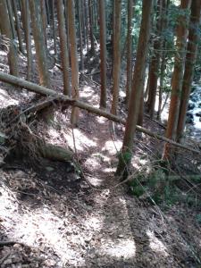 takigoyama 038