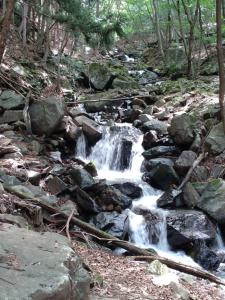 takigoyama 039