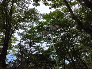 takigoyama 069