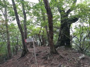 takigoyama 091