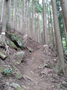 takikoyama 026