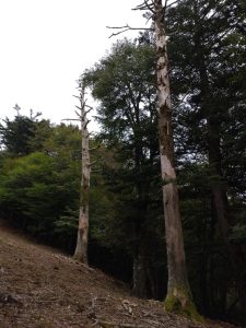 takikoyama 054