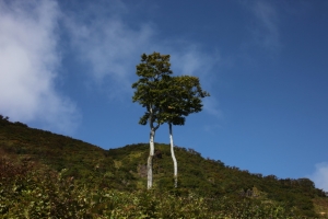 tanigawa 1 0004