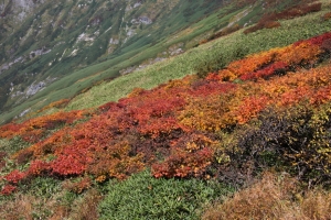 紅葉の谷川岳（１／２）