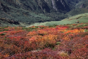 tanigawa 2 0001