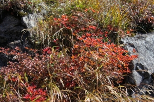 tanigawa 2 0014
