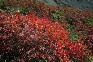 tanigawa 2 0021