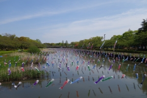 鯉のぼり・城跡・旧市街・モスリン館・田山花袋邸