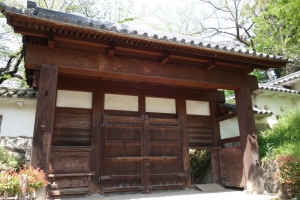 tatebayashi 006
