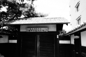 tatebayashi 010