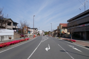 tatebayashi 025