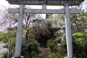 tatebayashi 030