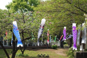 tatebayashi 067