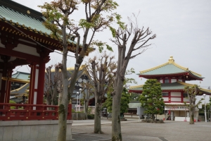 tatebayashi 083