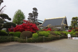 tatebayashi 085
