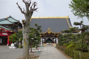 tatebayashi 087