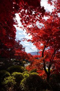 tateshina koyo 006