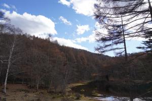 tateshina koyo 037