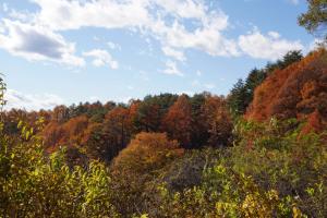 tateshina koyo 054