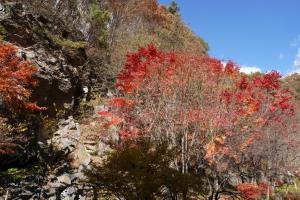 tateshina koyo 062