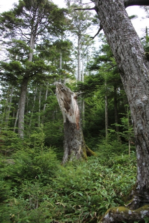 tateshina 002
