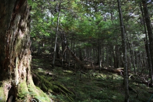 tateshina 003