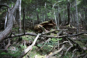 tateshina 004