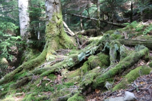 tateshina 007