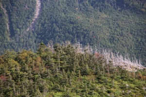 tateshina 024