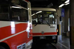 tateyama 2 0037