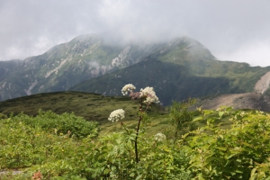 tateyama 2 0084