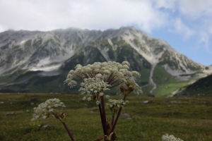 tateyama 2 0087