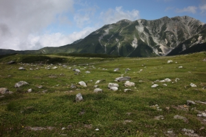 tateyama 2 0075