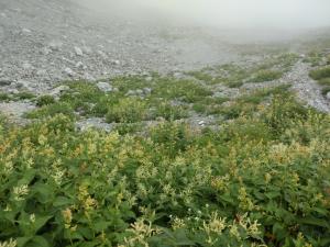 tateyama 050