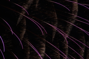 todabashi hanabi  018