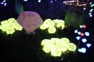 tokyo doitsu 017