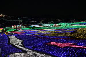 東京ドイツ村イルミネーション２０１７（１／３）