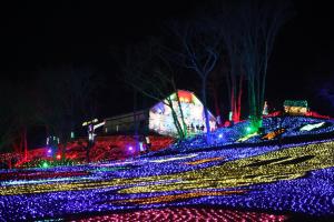 東京ドイツ村イルミネーション２０１７