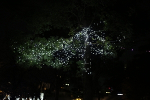 tokyo ilumi001