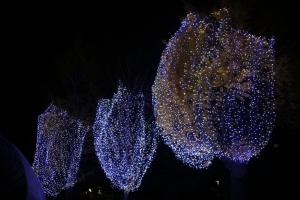 tokyo ilumi010