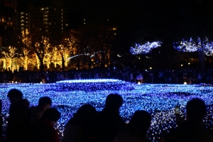 tokyo ilumi011