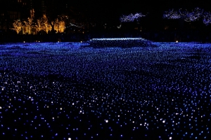 tokyo ilumi013