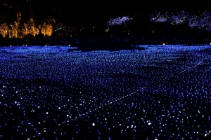 tokyo ilumi014