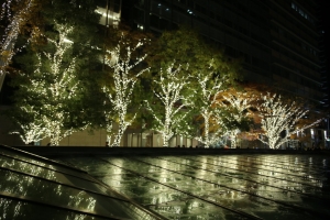 tokyo ilumi025