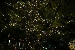 tokyo ilumi031
