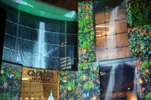 tokyo ilumi040