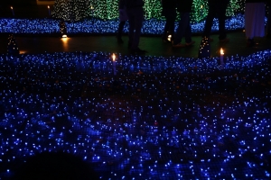 tokyo ilumi043